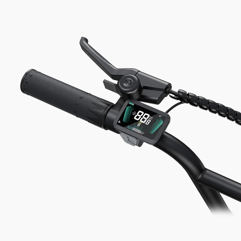 ENGWE L20 Boost – Bici Elettrica Fat Bike 250W, Coppia 75Nm con Sensore di Coppia e Pulsante Boost