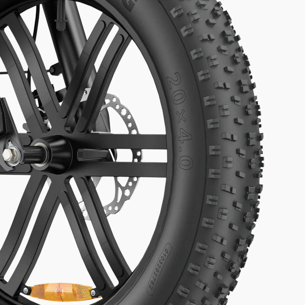 ENGWE L20 Boost – Bici Elettrica Fat Bike 250W, Coppia 75Nm con Sensore di Coppia e Pulsante Boost