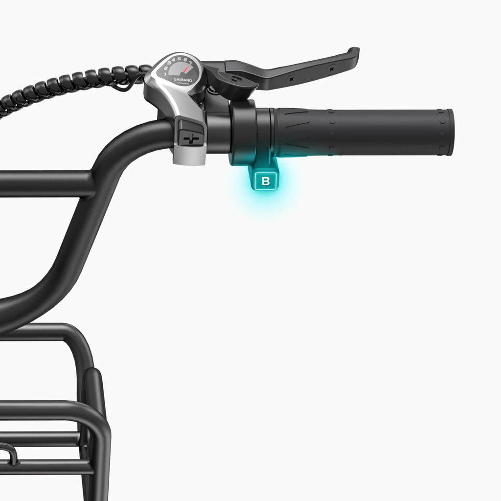 ENGWE L20 Boost – Bici Elettrica Fat Bike 250W, Coppia 75Nm con Sensore di Coppia e Pulsante Boost