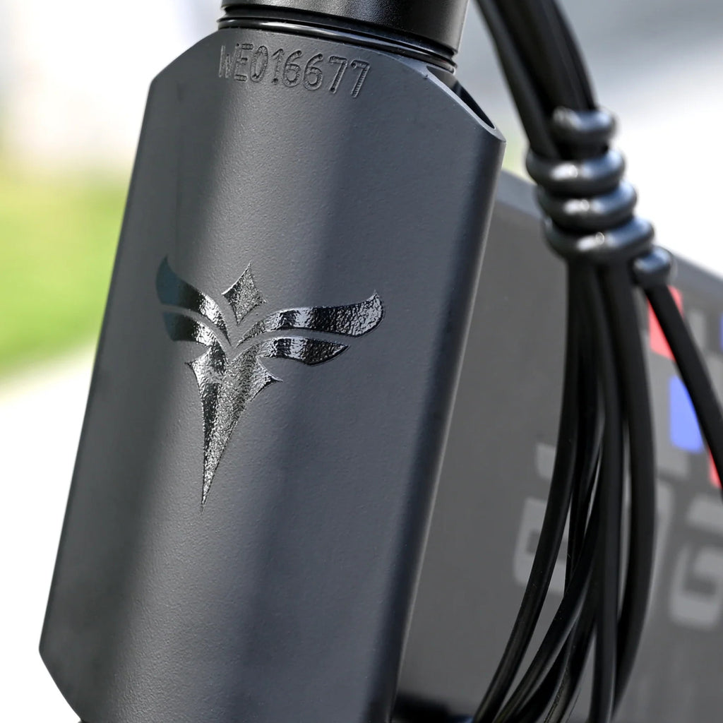 ENGWE ENGINE X Bici Elettrica Pieghevole 250W 48V – con Doppia Sospensione, Autonomia fino a 100 km